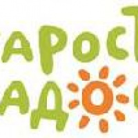 KIAP team successfully registered «Starost v radost» (eng – “Oldness for Joy”) trademark on behalf of a namesake charitable fund