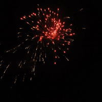 Новый год 2011