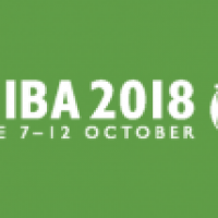 KIAP Partner Anna Grishchenkova took part at the IBA Annual Conference 2018 in Rome