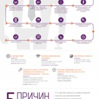 Инфографика: основные шаги при оформлении на работу иностранца в России 