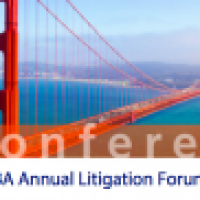 KIAP Partner Anna Grishchenkova attended IBA Annual Litigation Forum 