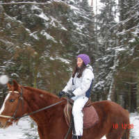 Новый год 2011