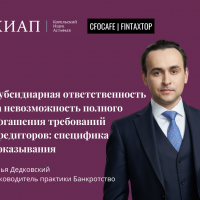 Илья Дедковский на онлайн-конференции FinTaxTop о субсидиарной ответственности