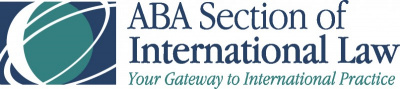 Anna Grishchenkova spoke at IX Annual ABA Conference on commercial disputes resolution